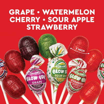 Blow Pops Lollipops – 1 lb Bulk Bag, Assorted Fruit Flavors with Bubble Gum Center