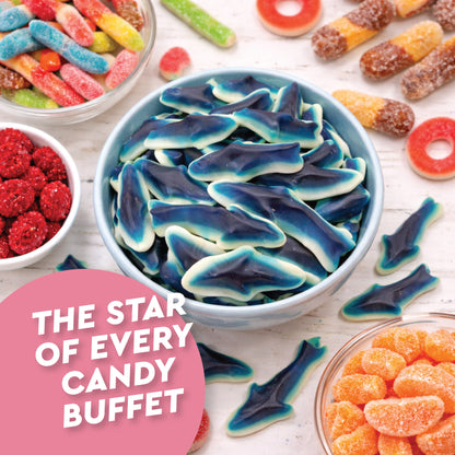 Blue Raspberry Gummy Sharks – 1 Pound Bag Soft Chewy Shark Gummy Candy, Blue Candy Sharks For Parties, Ocean-Theme Snacks, Sour Gummies Lovers, And More
