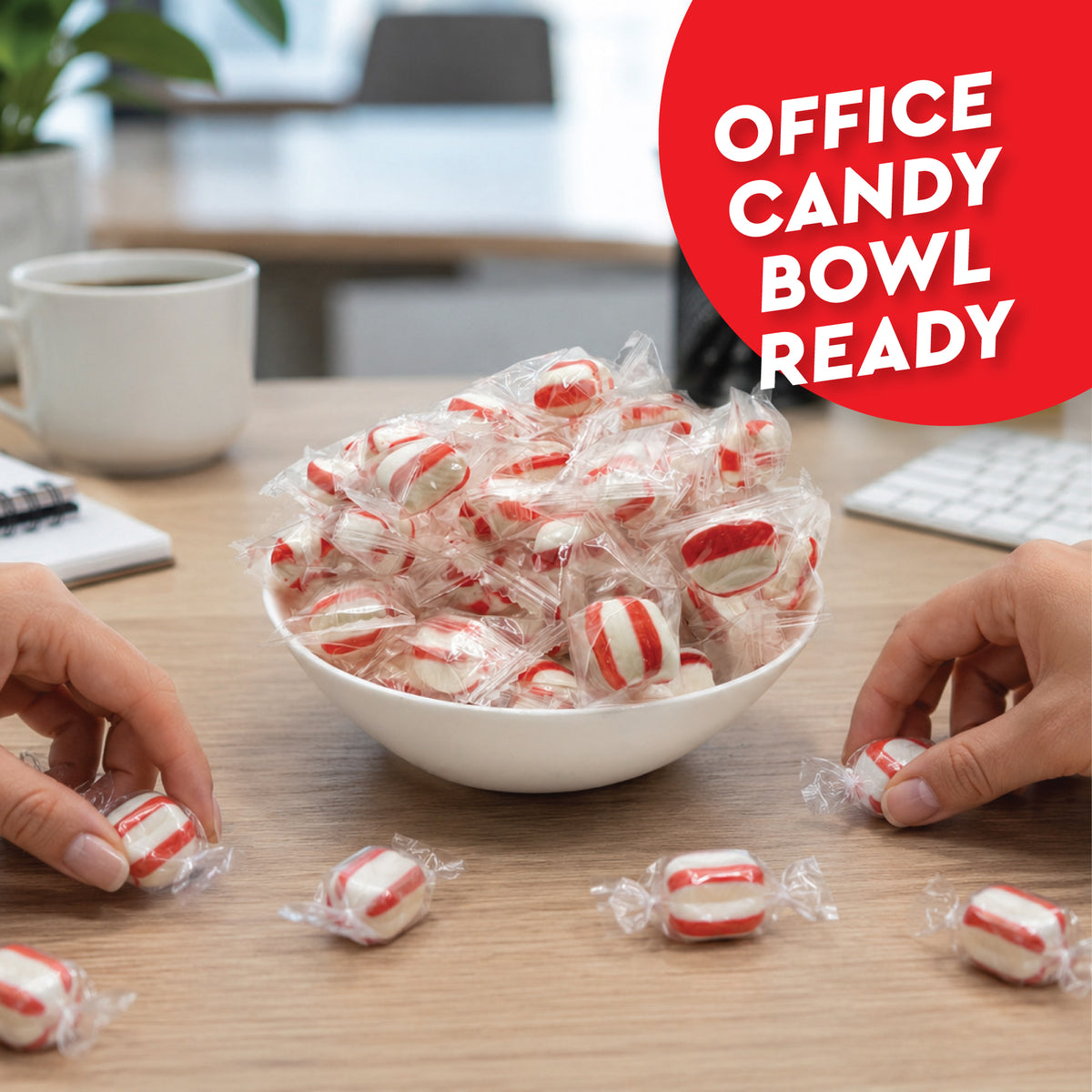 Soft Peppermint Puff Candy - 1 Pound Bag - Individually Wrapped Soft Mints Peppermint Puffs